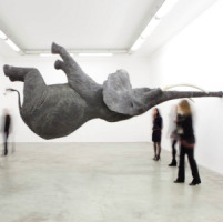 Animals in art, Daniel Firman