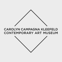 Hurry Slowly, Carolyn, Carolyn Campagna Kleefeld Contemporary Art Museum, 