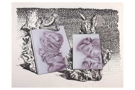 David Wolle