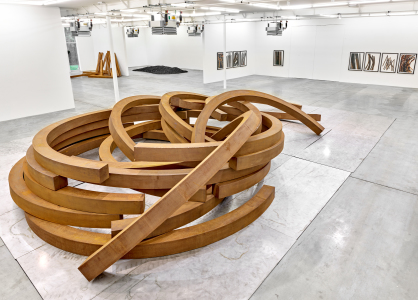 Bernar Venet