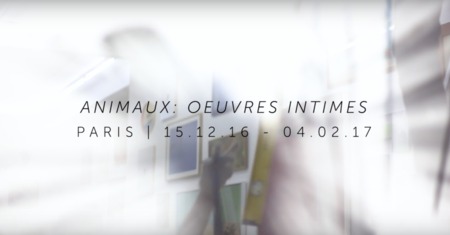 Animaux : oeuvres intimes